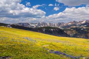 Beartooth Highway-7517.jpg